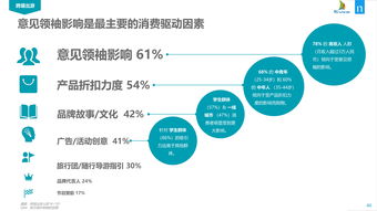 從199it看互聯網數據服務 結構化洞察與增長引擎
